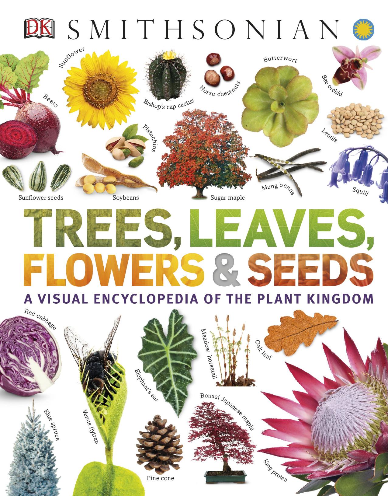 Trees, Leaves, Flowers and Seeds: A Visual Encyclopedia of the Plant Kingdom