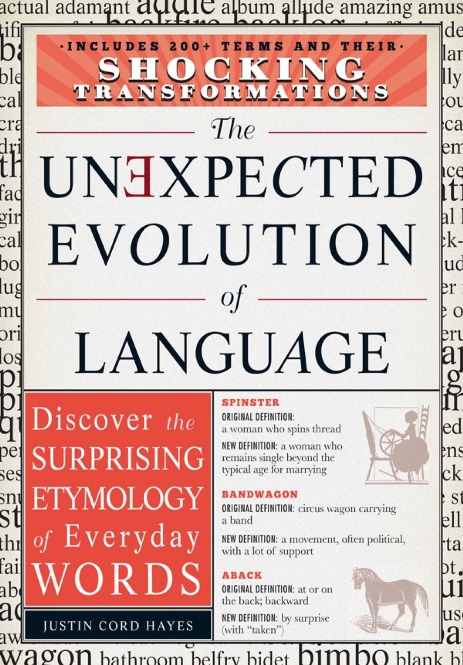 The Unexpected Evolution of Language