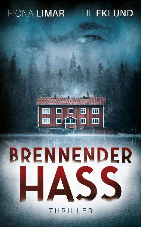 Brennender Hass: Schwedenthriller (German Edition)