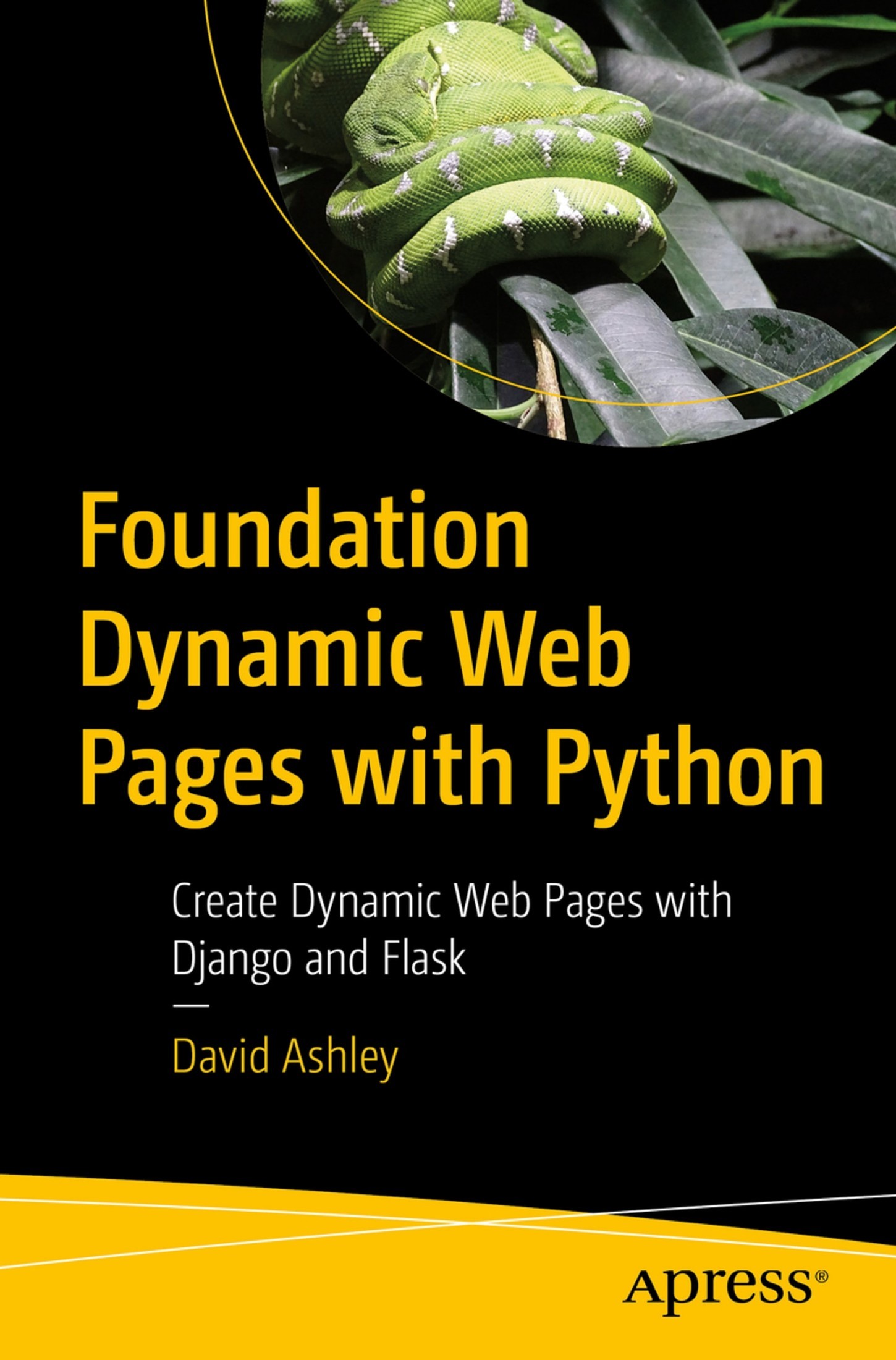 Foundation Dynamic Web Pages with Python