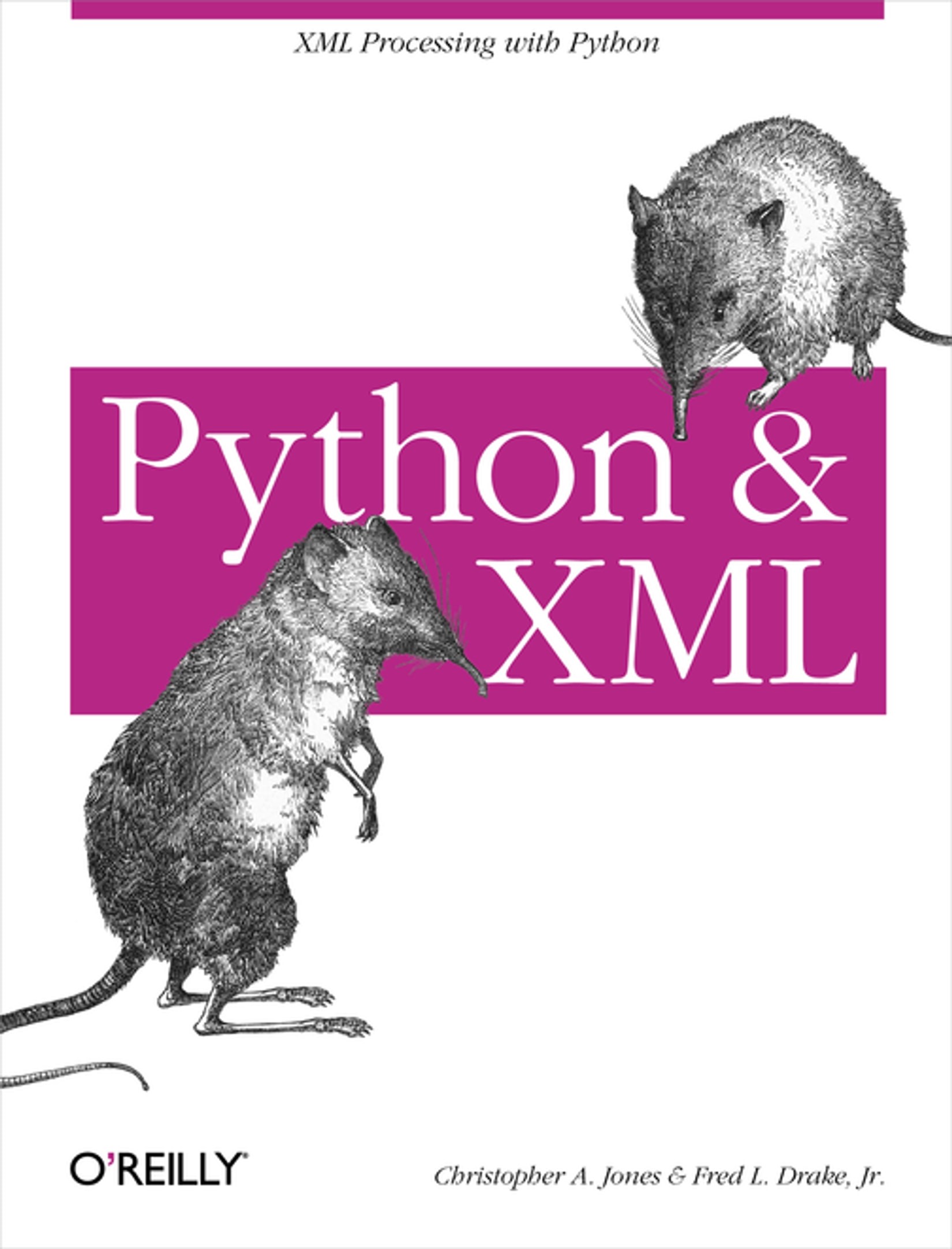 Python & XML