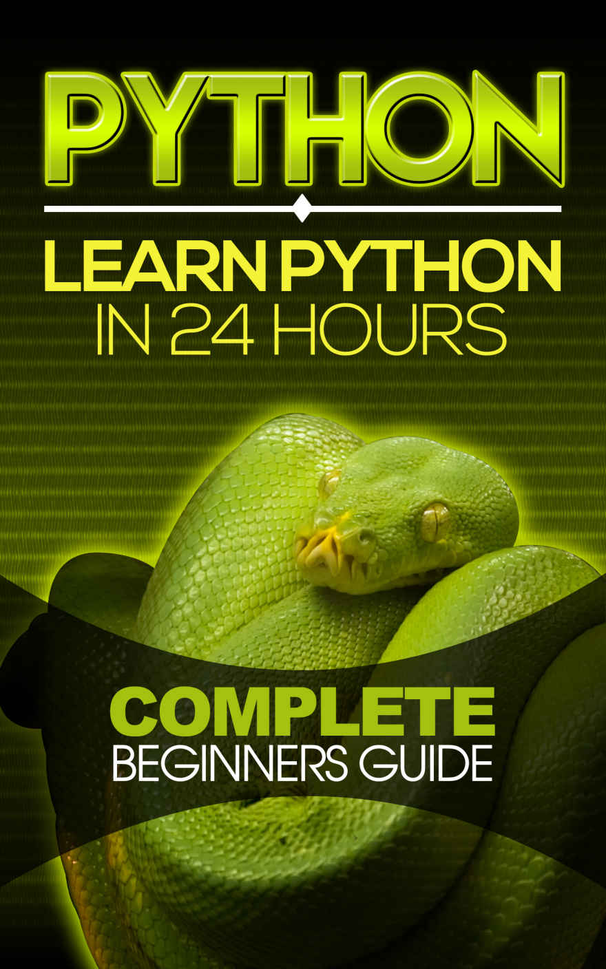 Python: Learn Python in 24 Hours: Complete Beginners Guide