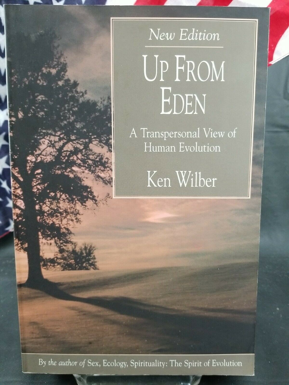 Up From Eden: A Transpersonal View of Human Evolution