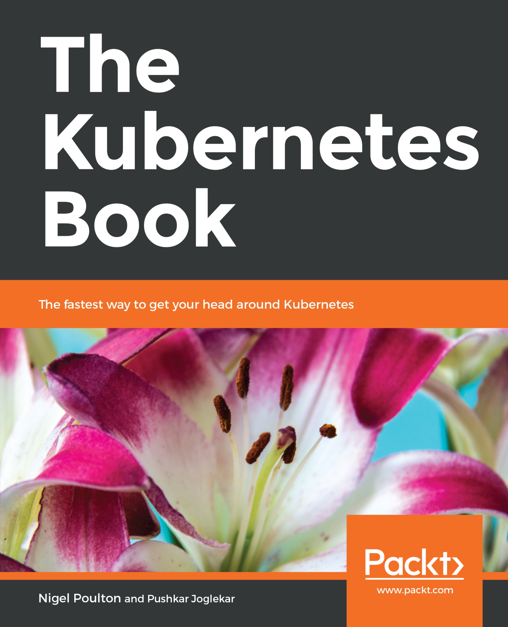 The Kubernetes Book - 2019