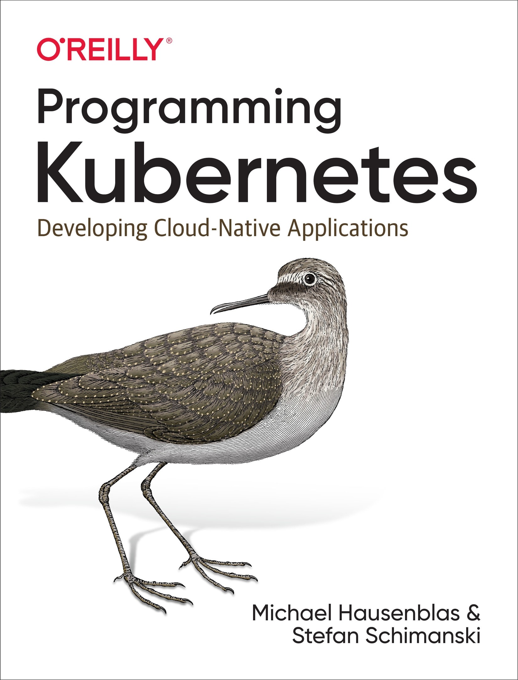 Programming Kubernetes: Developing Cloud Native Applications