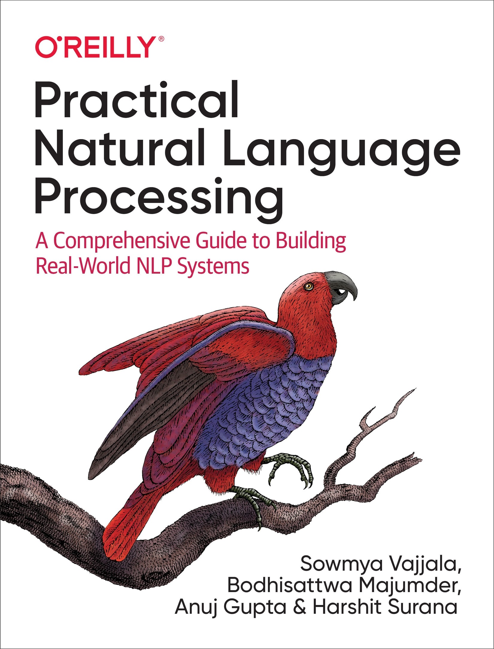 Practical Natural Language Processing: A Pragmatic Approach to Processing and Analyzing Language Data