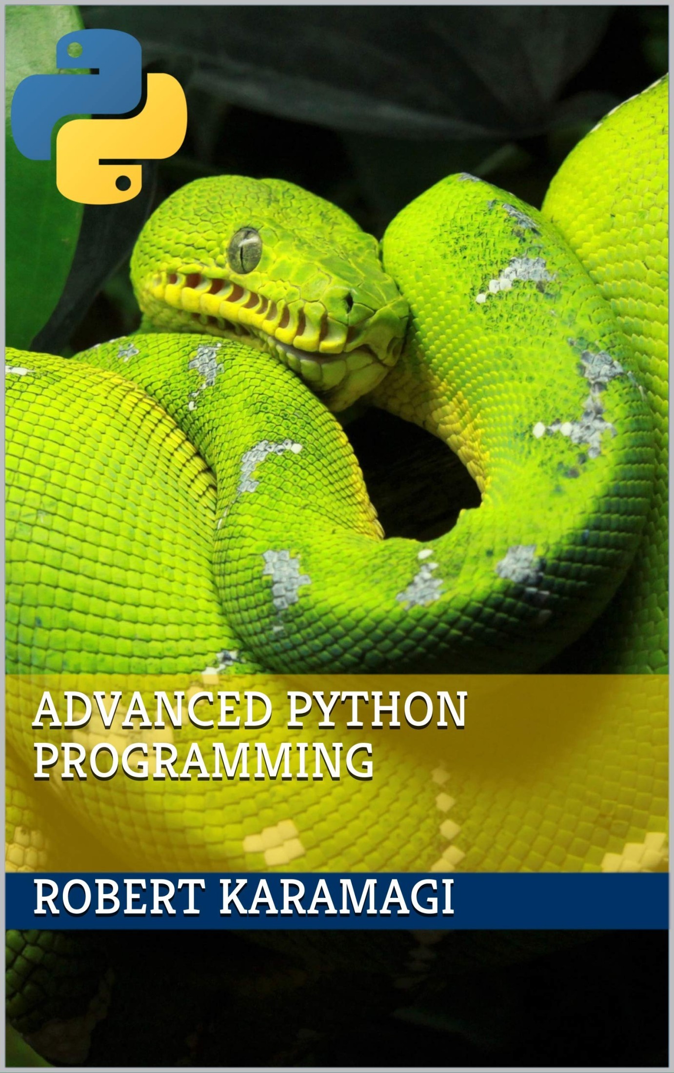 Advanced Python Programming