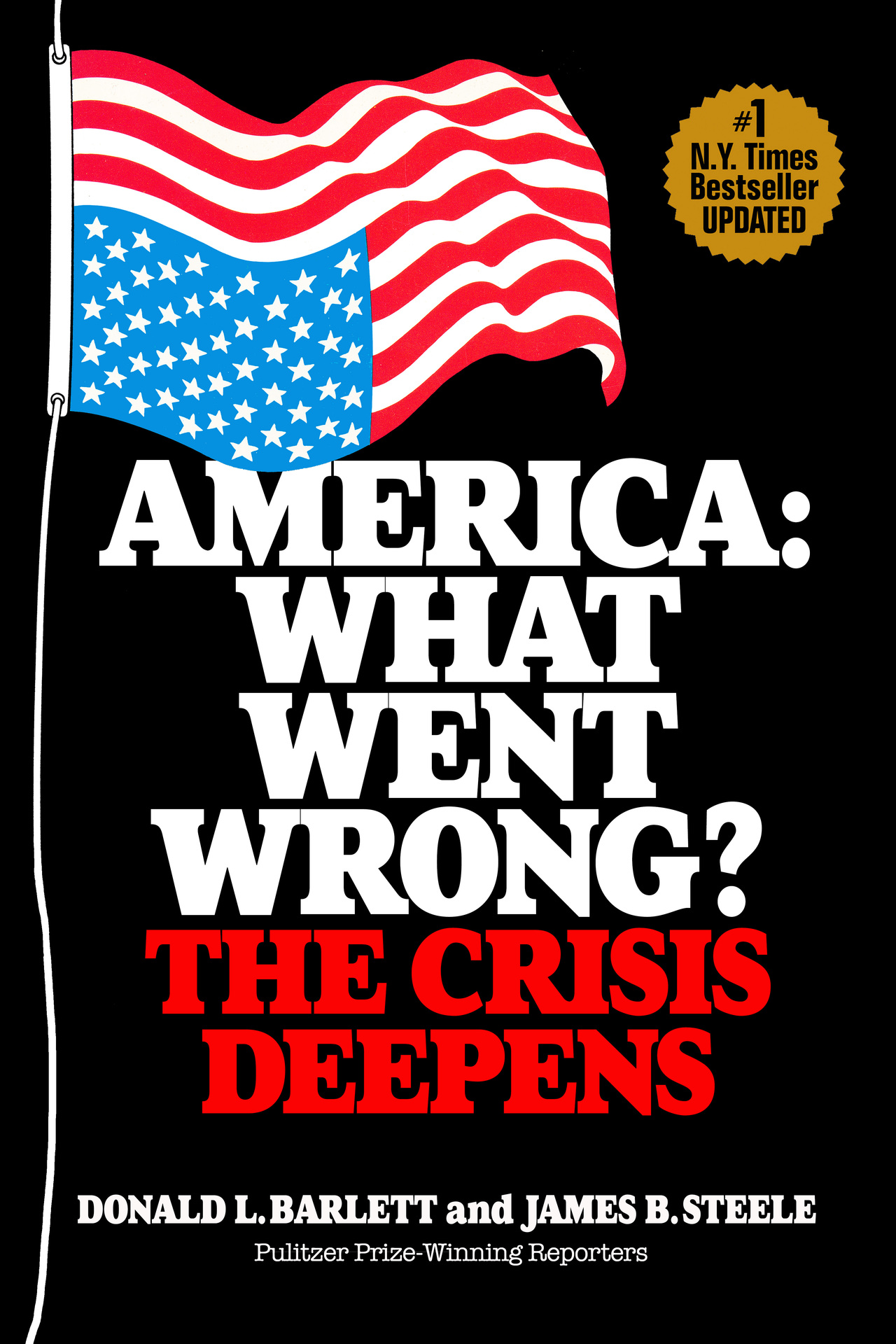 America: What Went Wrong?: The Crisis Deepens