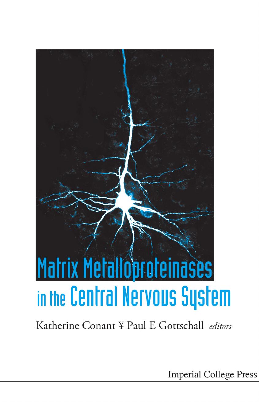 Matrix Metalloproteinases in the Central Nervous System