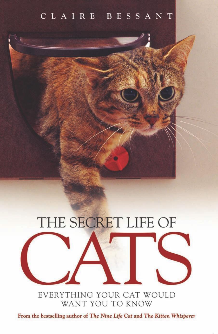 The Secret Life of Cats