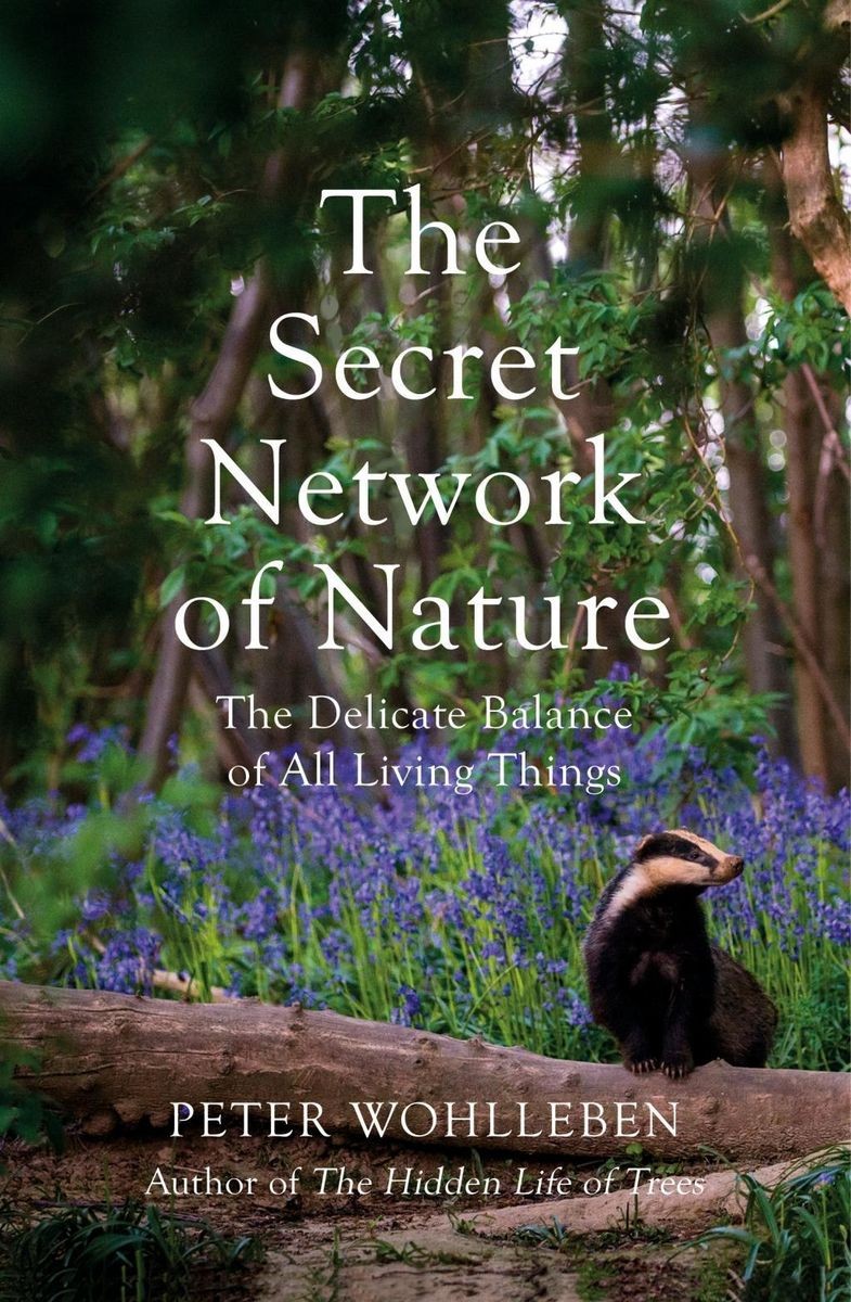 The Secret Network of Nature: The Delicate Balance of All Living Things