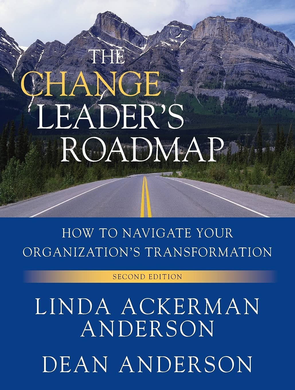 The Change Leader's Roadmap: How to Navigate Your Organization's Transformation