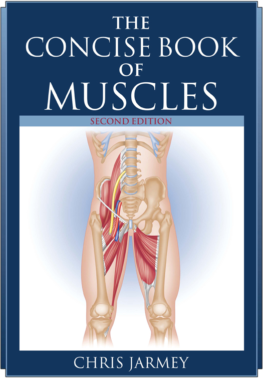 The Concise Book of Muscles