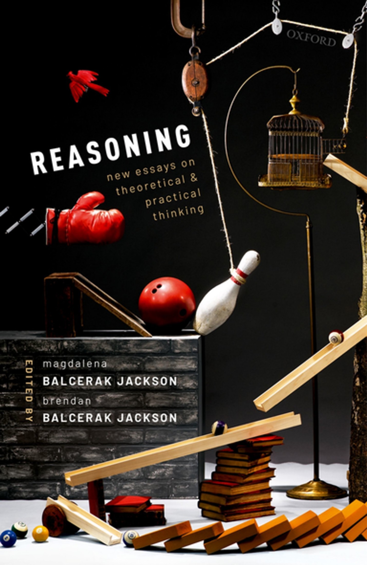 Reasoning: New Essays on Theoretical and Practical Thinking