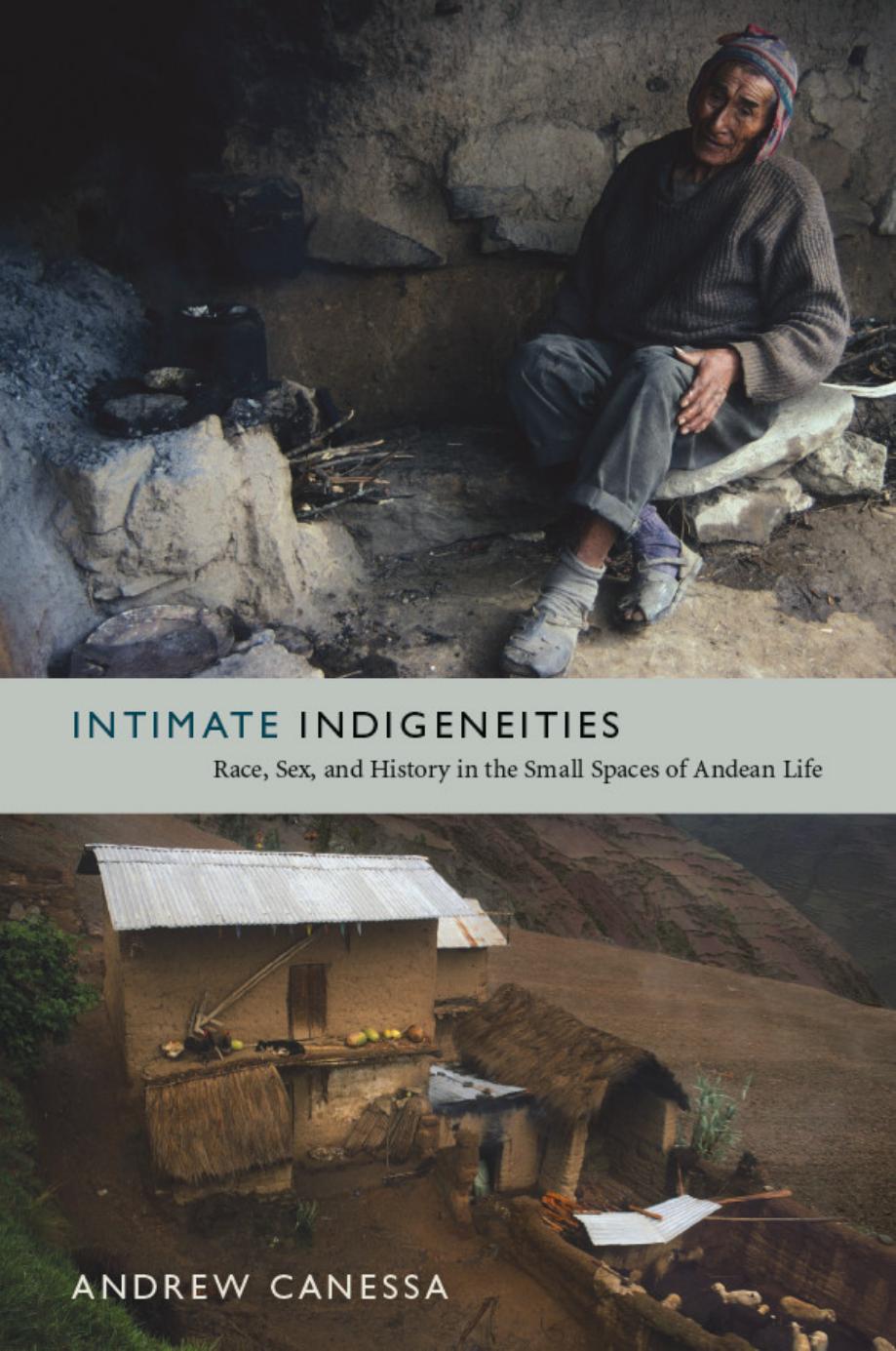 Intimate Indigeneities: Race, Sex, and History in the Small Spaces of Andean Life