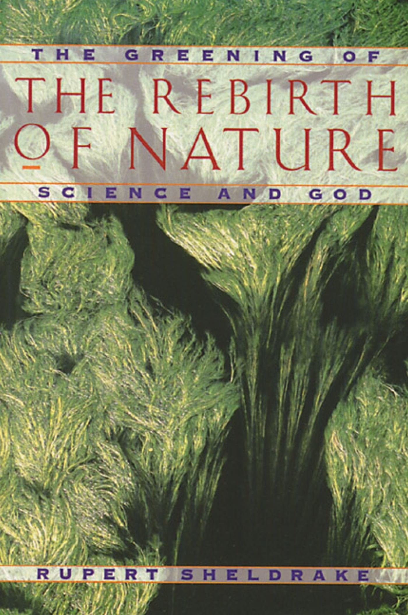 The Rebirth of Nature: The Greening of Science and God