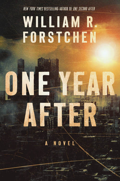 One Year After: A Novel