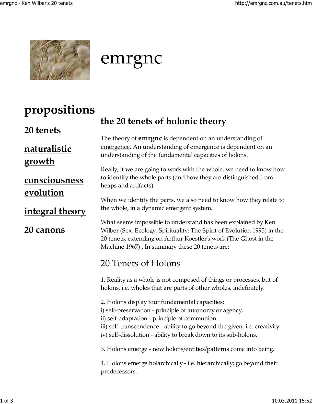 emrgnc - Ken Wilber's 20 tenets