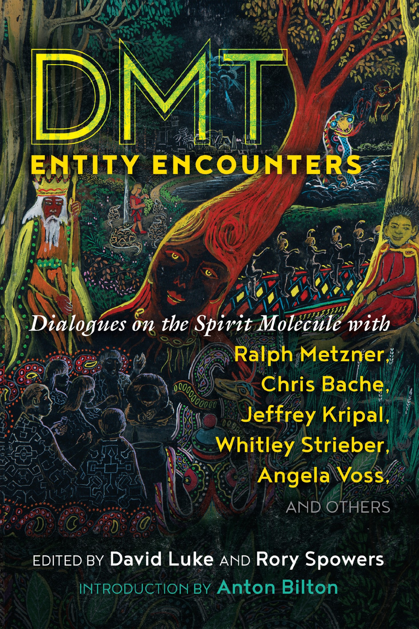 DMT Entity Encounters