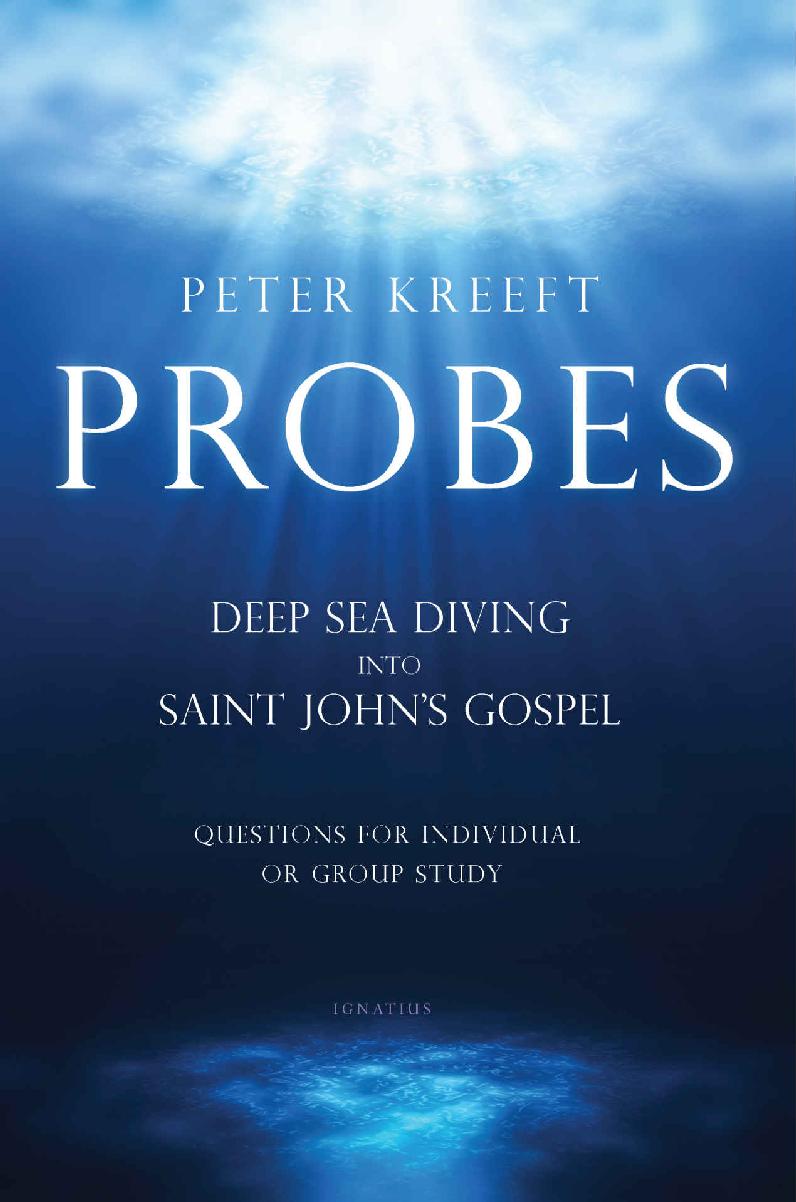 Probes: Deep Sea Diving Into Saint John's Gospel: Questions for Individual or Group Study