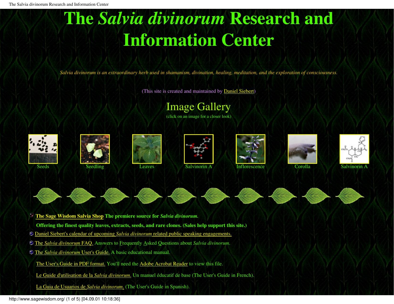 The Salvia divinorum Research and Information Center