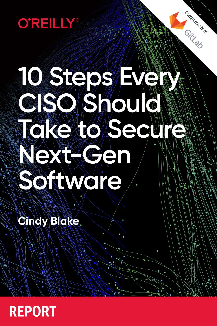 10 Steps Every CISO Should Take to Secure Next-Gen Software