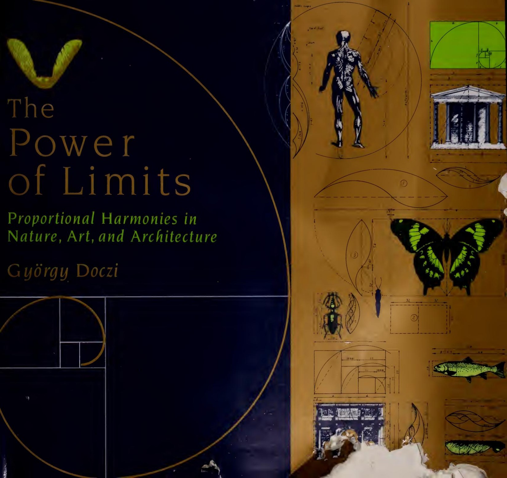 The Power of Limits: Proportional Harmonies in Nature, Art, and Architecture
