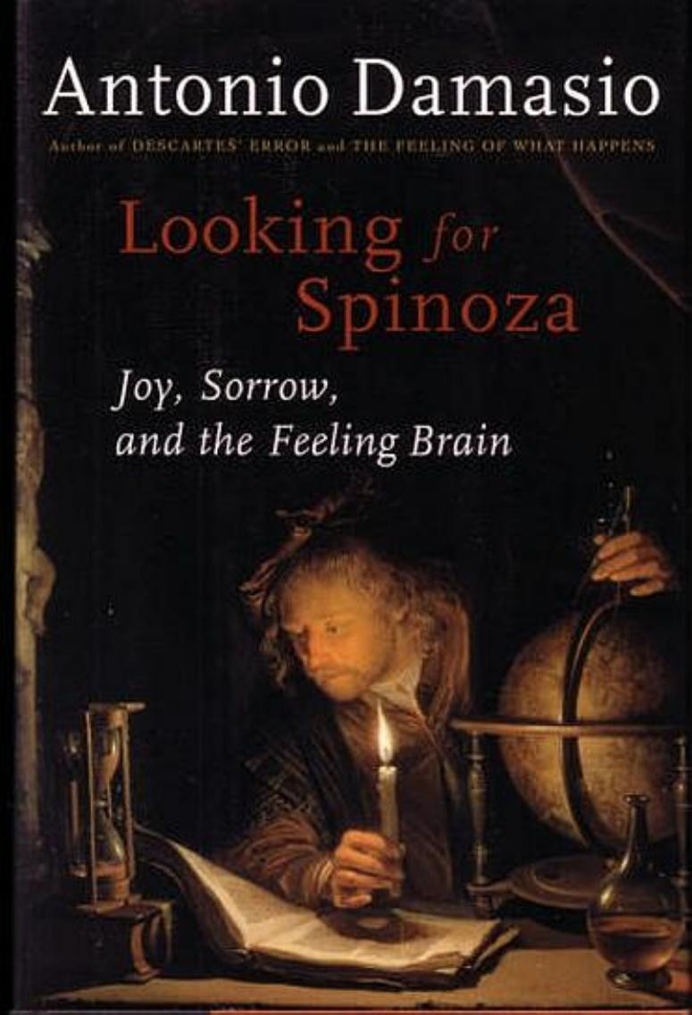 Looking for Spinoza: Joy, Sorrow, and the Feeling Brain