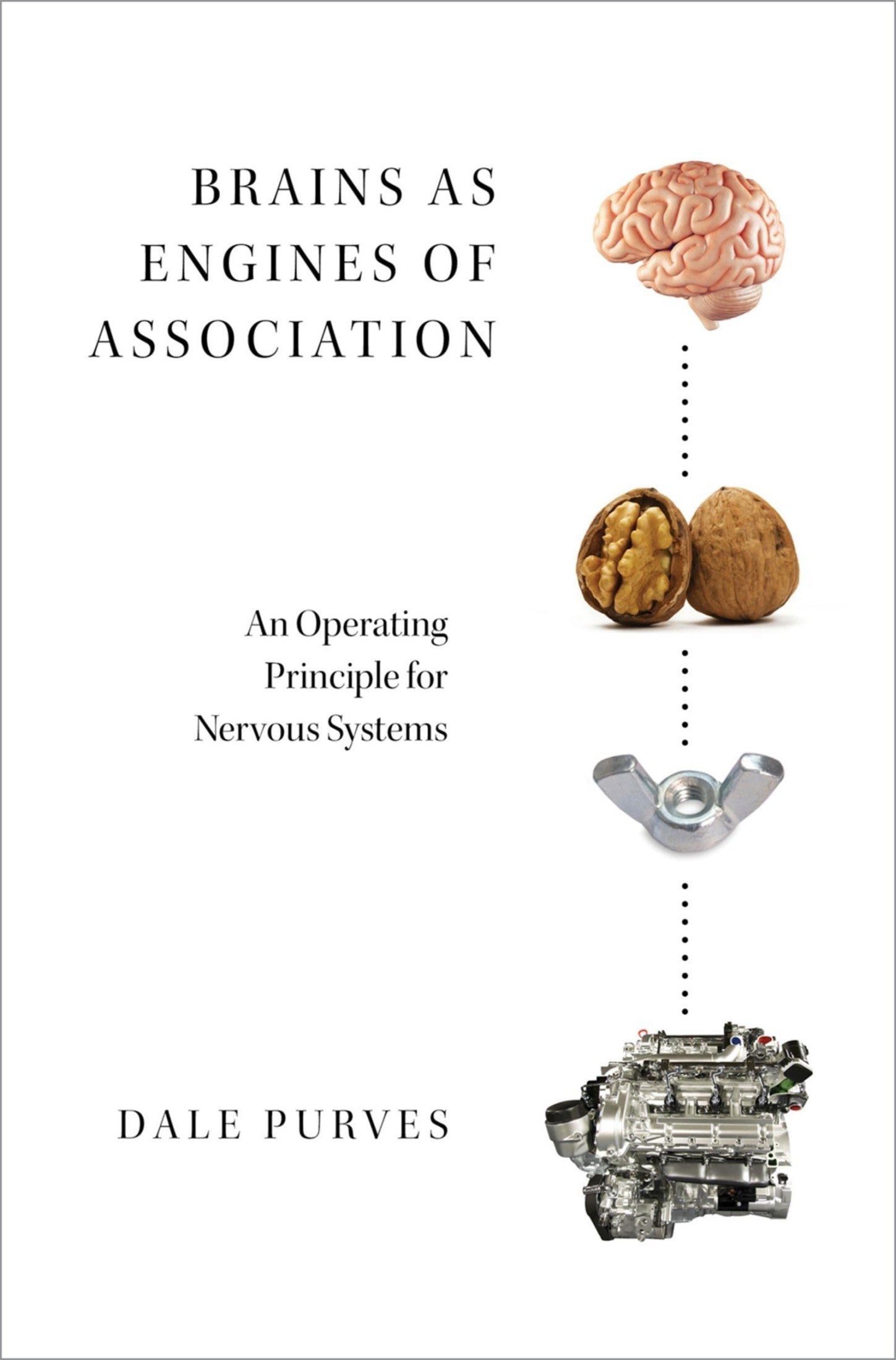 Brains as Engines of Association: An Operating Principle for Nervous Systems