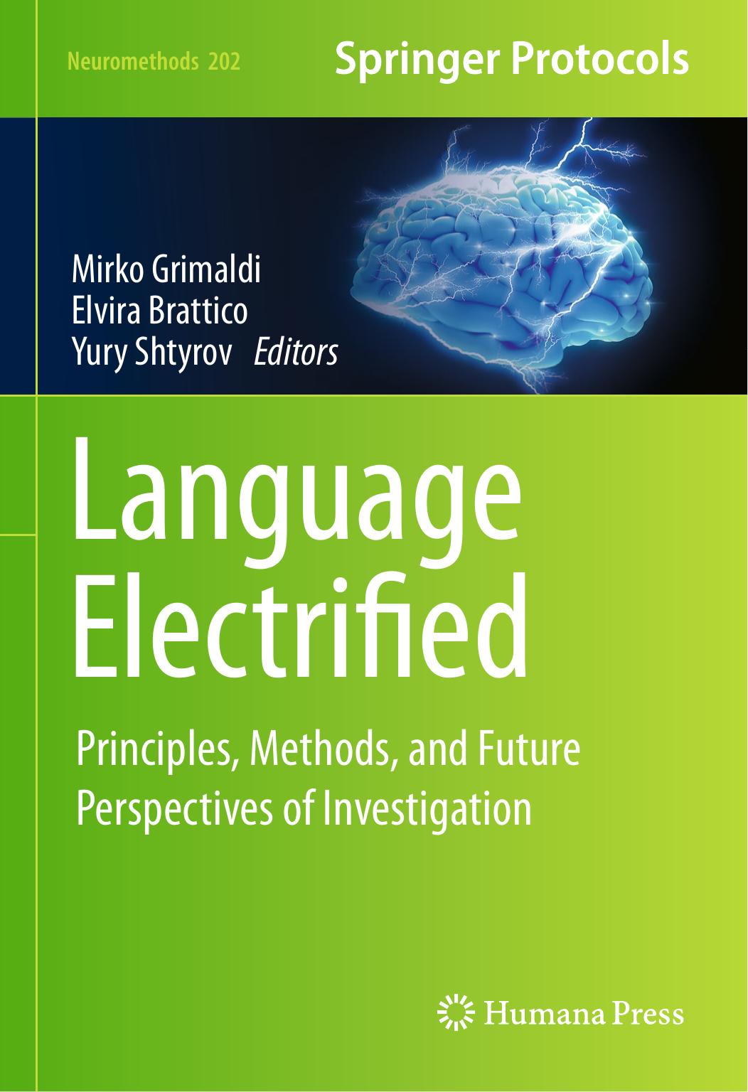 Language Electrified: Principles, Methods, and Future Perspectives of Investigation