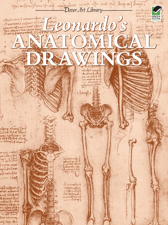 Leonardo's Anatomical Drawings
