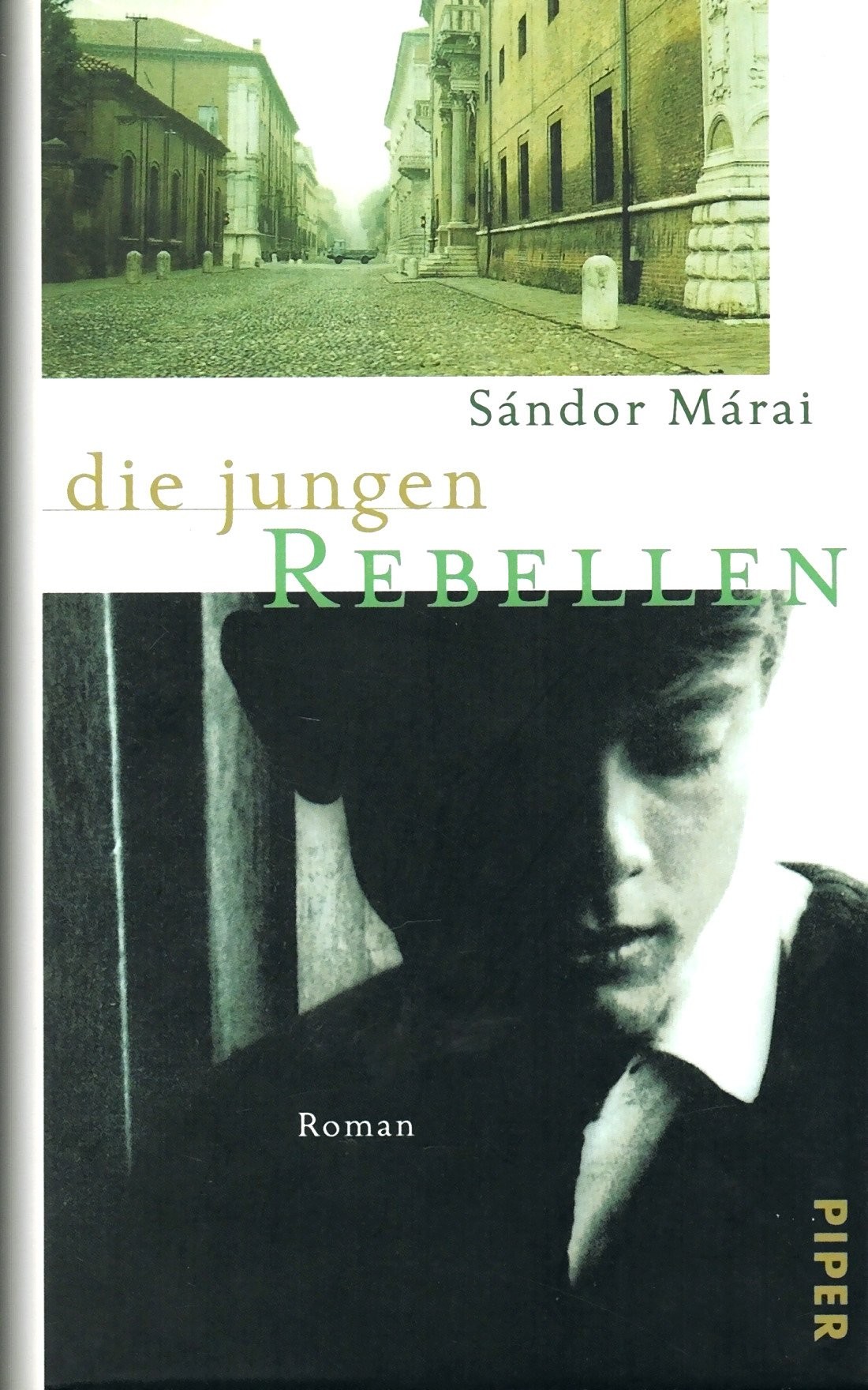 Die jungen Rebellen: Roman