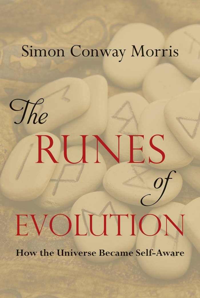 The Runes of Evolution: How the Universe Became Self-Aware