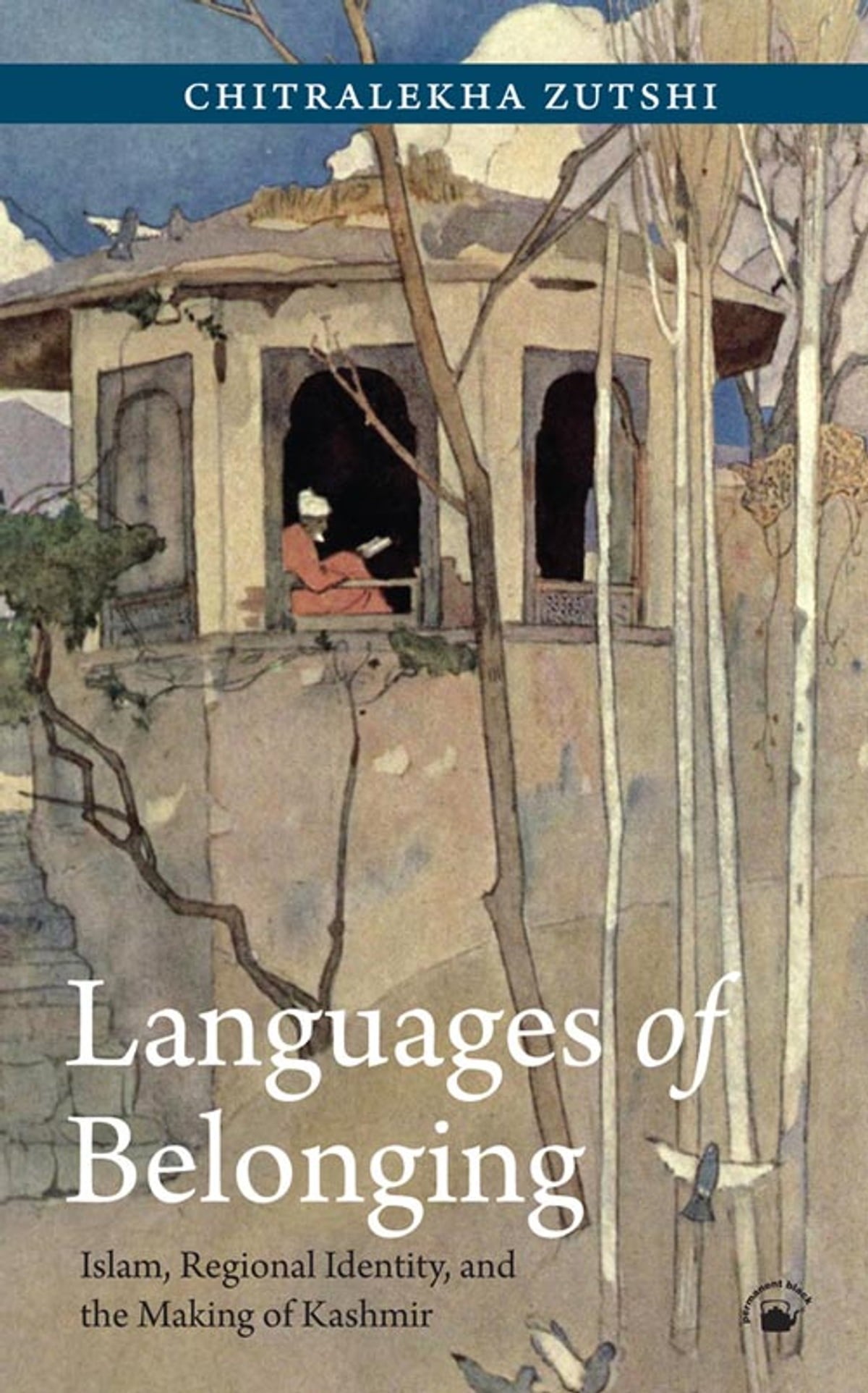Languages of Belonging: Islam, Regional Identity, and the Making of Kashmir